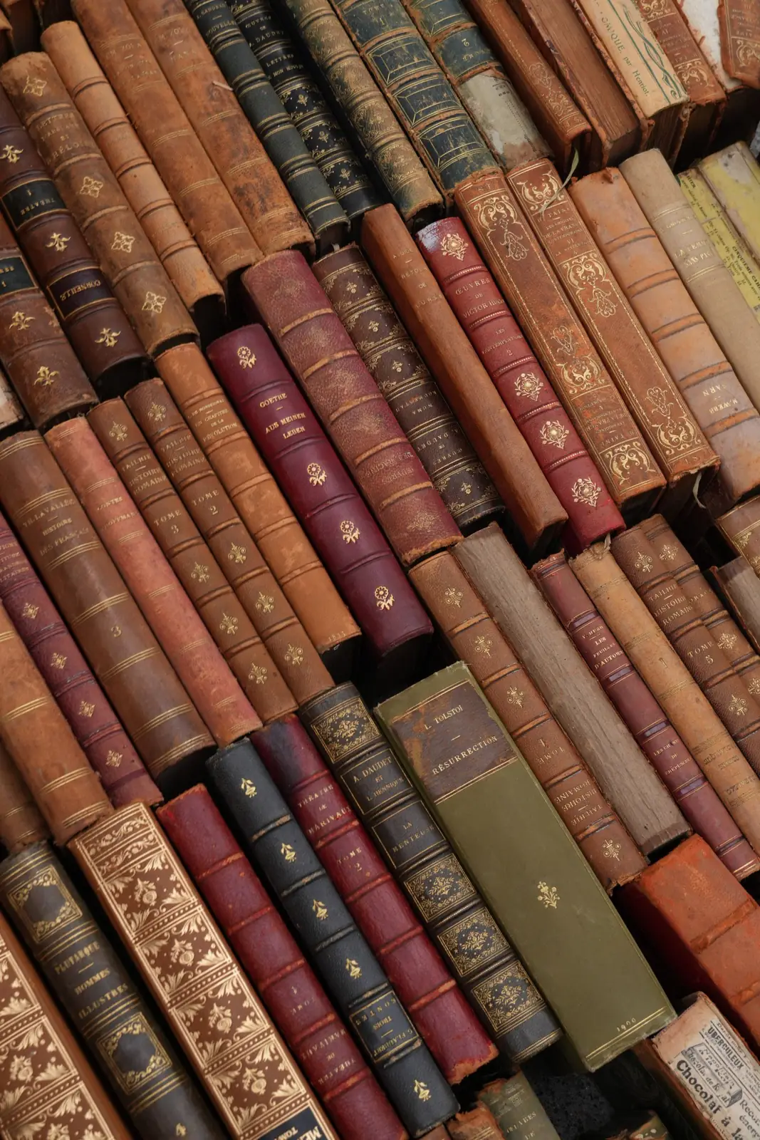 Shelves of leather-bound books in a private library