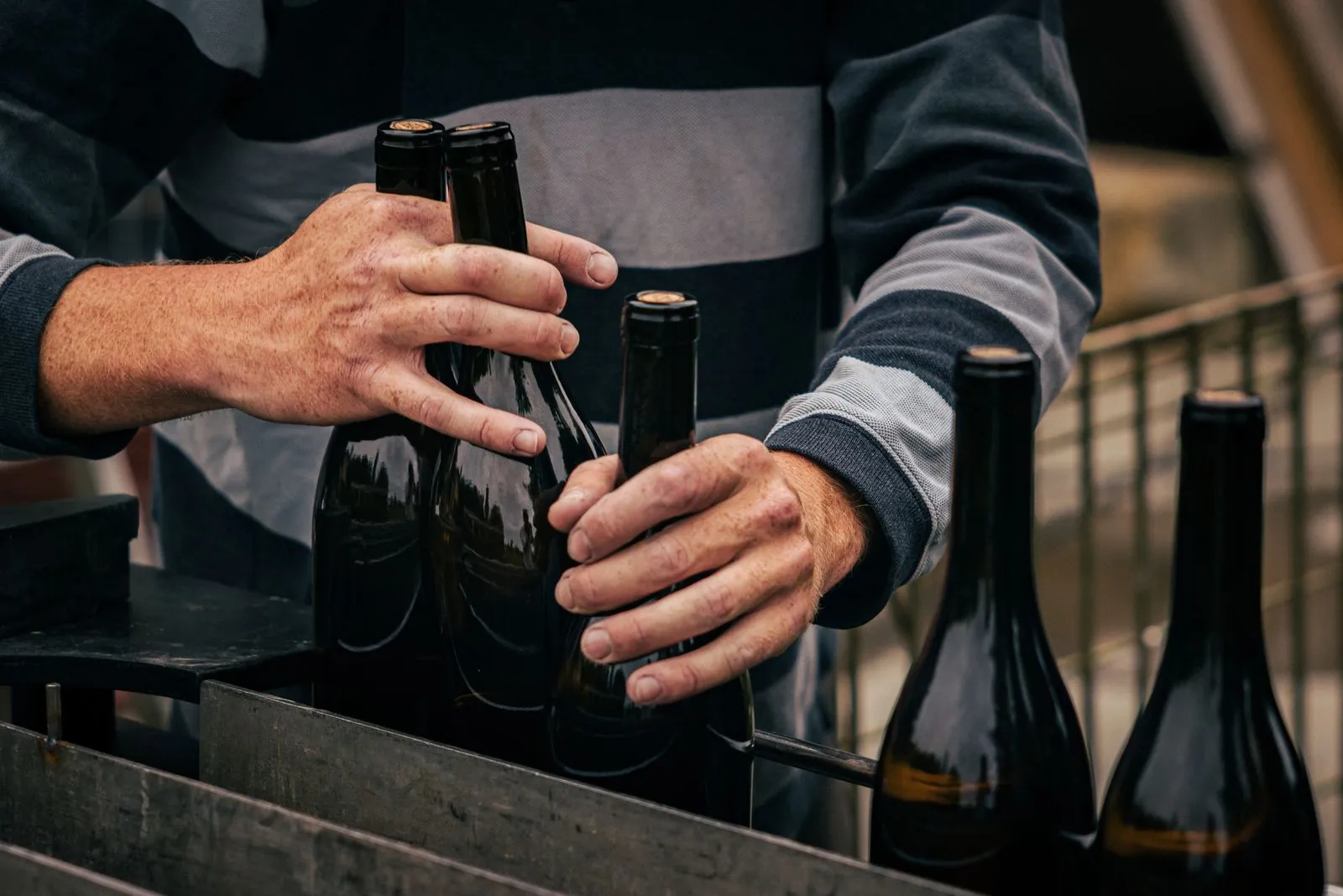 Winemaker handling bottles at a French vineyard